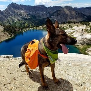 Meet your Posher, Jill